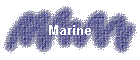 Marine